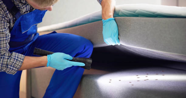 Best Pest Control Near Me in Bowie, MD