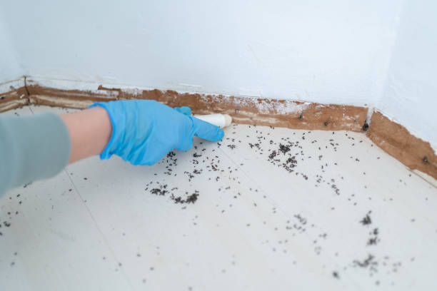 Bowie, MD Pest Control Company